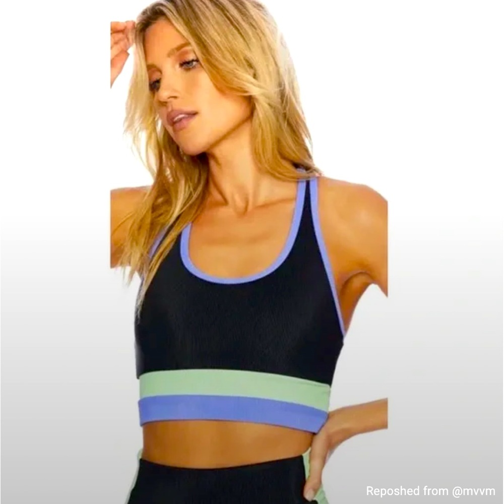 Beach Riot Marianne Colorblock sports bra